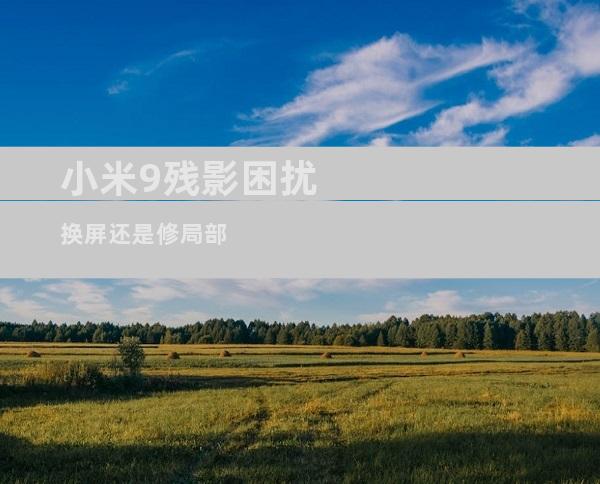 小米9残影困扰 换屏还是修局部